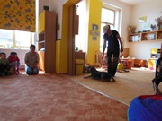 Bezpečný pes - kynologie